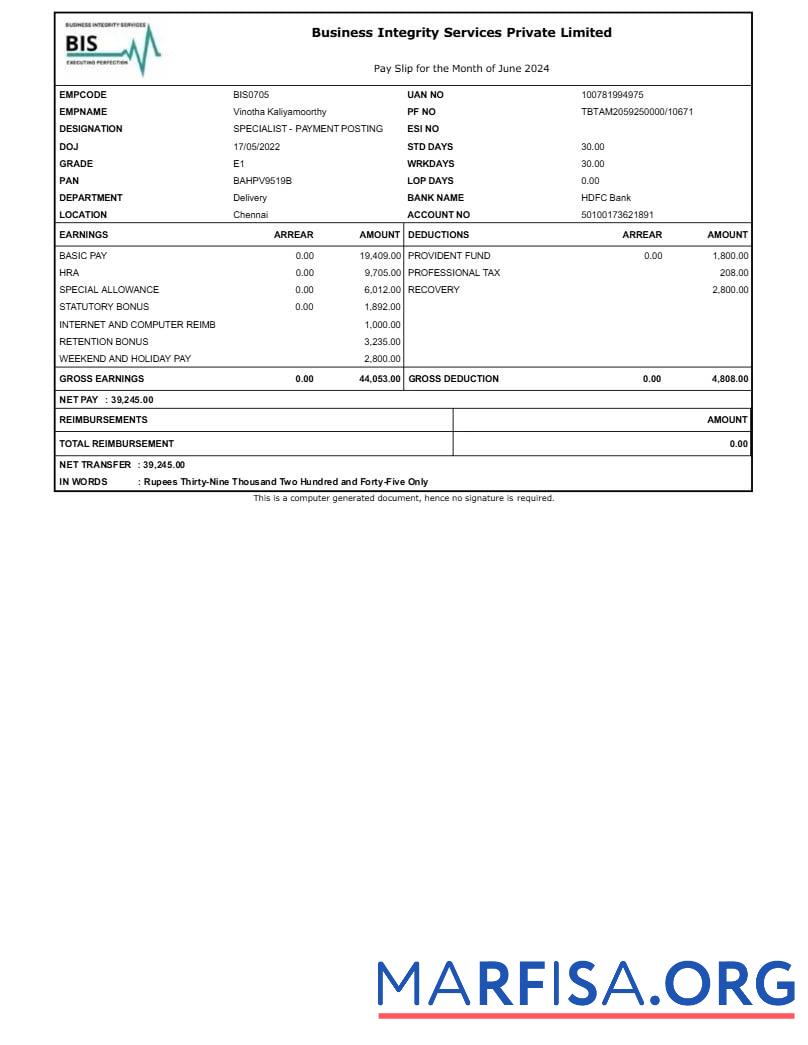 Blank Business Integrity Services payslip download for verification